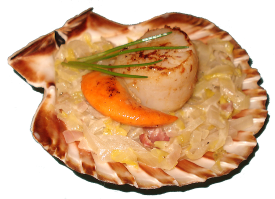 coquille st jacques